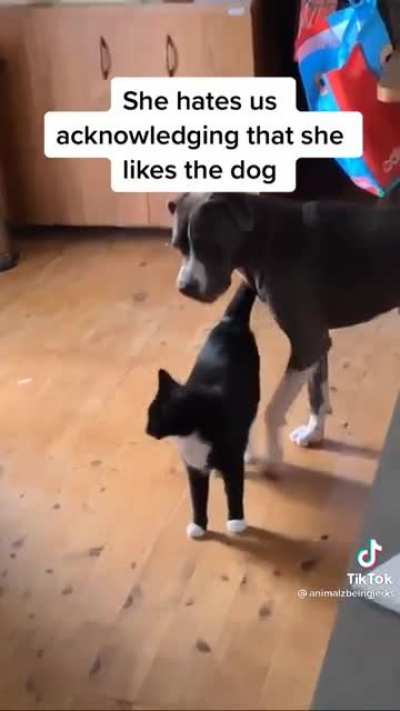 Secret friendship