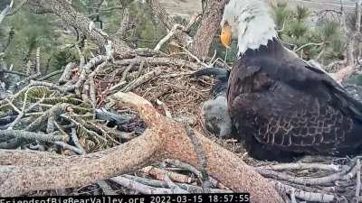He&rsquo;s already a pretty good shot!