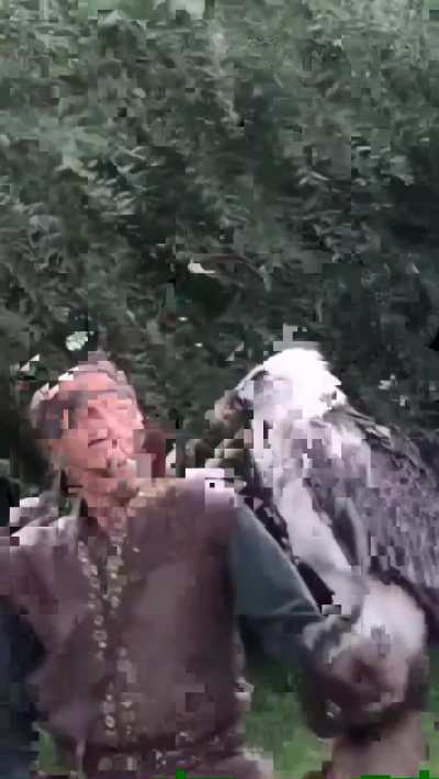 The bearded vulture is the only known animal who's diet is almost exclusively bone.