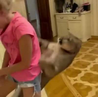 Child stalked by a Mountain Lion!