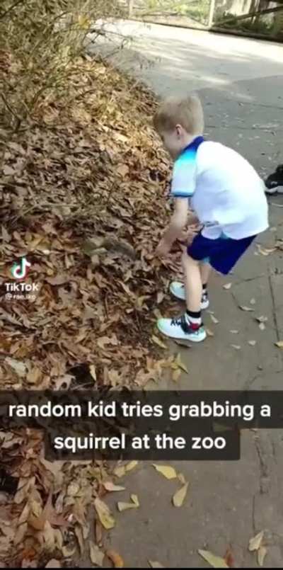 Don&rsquo;t fuck with squirrels