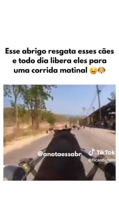 Velozes e Furiosos 