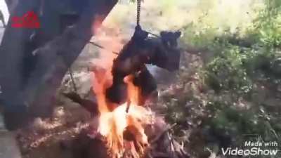 Junta caught PDF and burn them to death! 