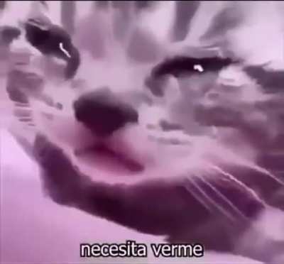 Nosotros cuando no hay viernes de reddit durante 3 semanas