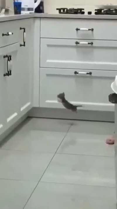 a perfect jump