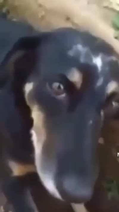 porque W se escreve com D?