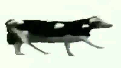 Apreciem essa obra de arte