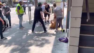 Qual a opini&atilde;o de voc&ecirc;s sobre essa ra&ccedil;a de cachorro que causa tantos acidentes?