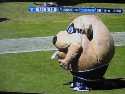 Mascot Won