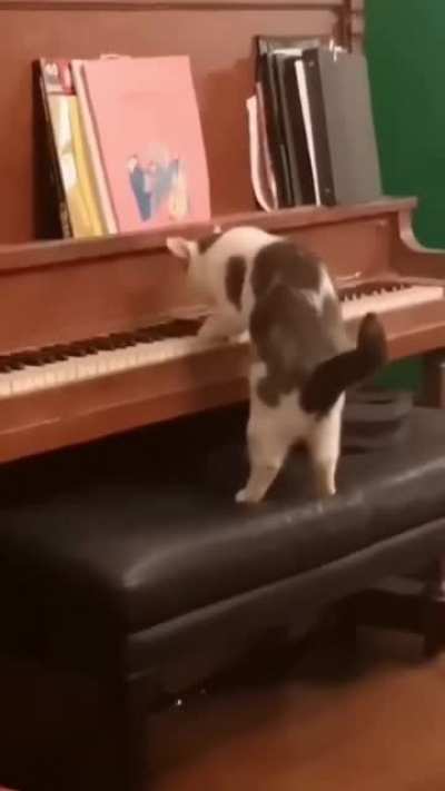Когда ты одинокий пианист. Особенно ночью...
