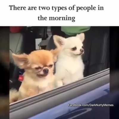 🤣😂🤣😂