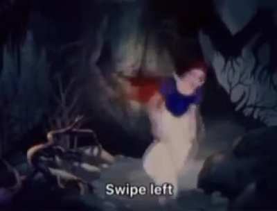 Gay🐊irl