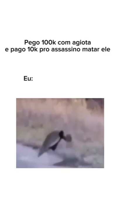 Pica-Pau
