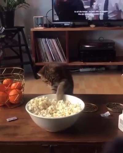hungry