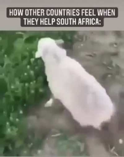 SA 2021
