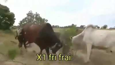 Hoje s&oacute; foi capa fam&iacute;lia 😎