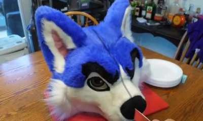 cake_irl