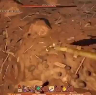 "Momma Spider"