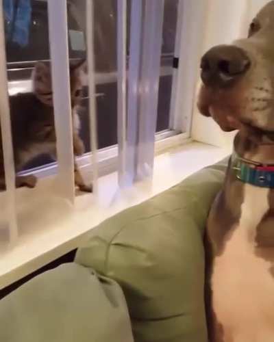 Vicious monster