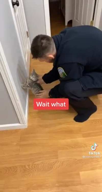 Where&rsquo;s the catnip?
