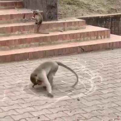 Drawing a circle