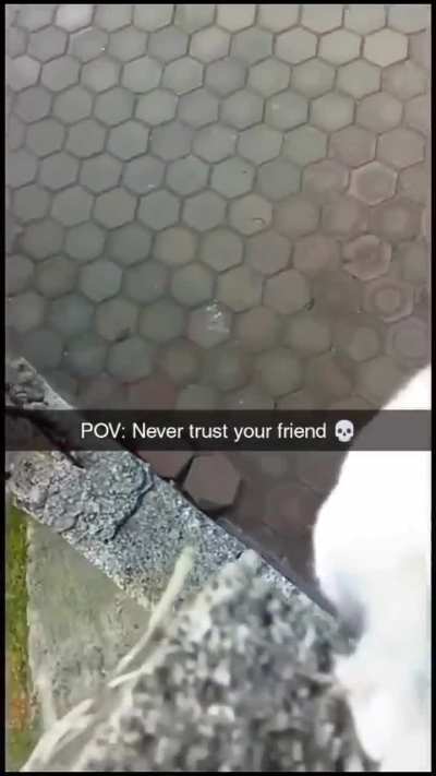 Wunk of betrayal