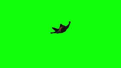 If anyone needs it - I made a green screen of falling Denji