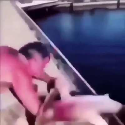 [50/50] Fish says hi to diver (SFW) | Shark bites mans arm and doesn&rsquo;t let go (NSFW)