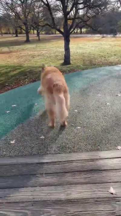 The happiest girl