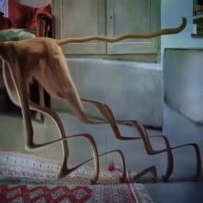 .̸̵̧.͝.͜ П'̡̢̧ри.̸̵̧.͝.Ве.̸̵̧.͝.͜т, ̶͟͞ ̶͟͞Ре ̶͟͞к ̶͟͞абу ̶͟͞ ̶͟͞.̸̵̧.͝.͜