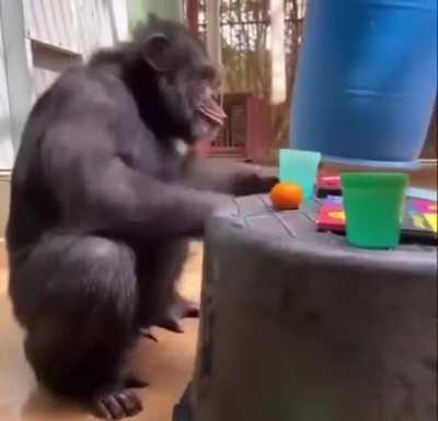 Monke
