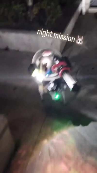 O rabbit cop