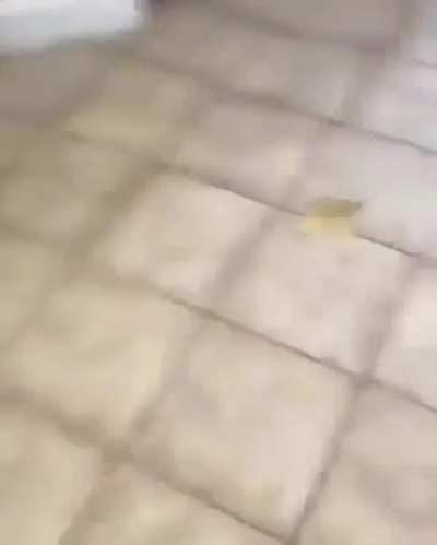 Mcbannana