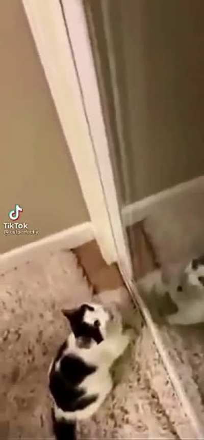 Open the door, open the door!