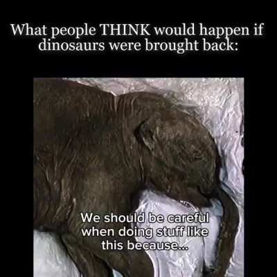 I need people to understand that if dinosaurs were brought back (which they can't be btw) we wouldn't be the ones in danger, they would be. They would be exploited and mistreated just like any other animal unfortunate enough come into contact with humanit