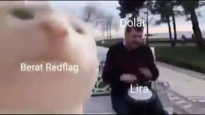 Dolar 8.53