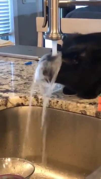 FeelsDankMan agua