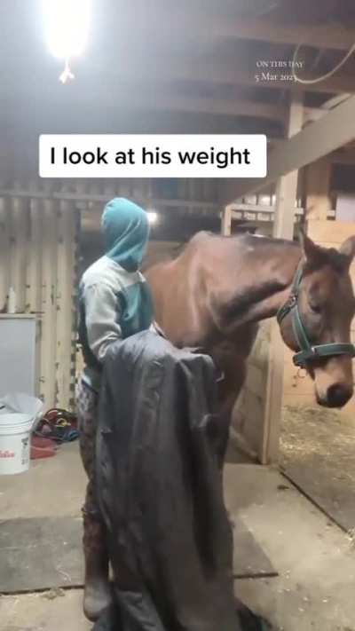 Animals do have emotions