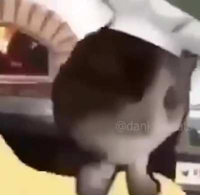 wholesome