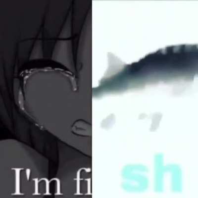 fish