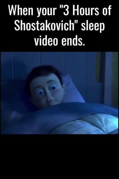 When your "3 hours of Shostakovich" sleep video ends.