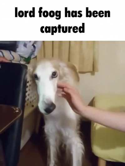 oh no