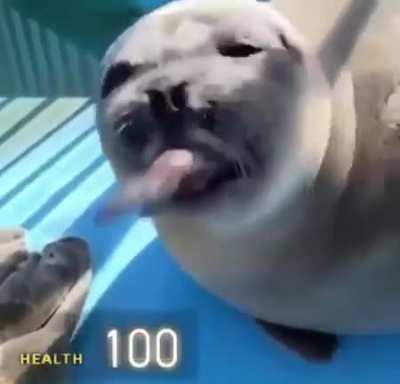 C: