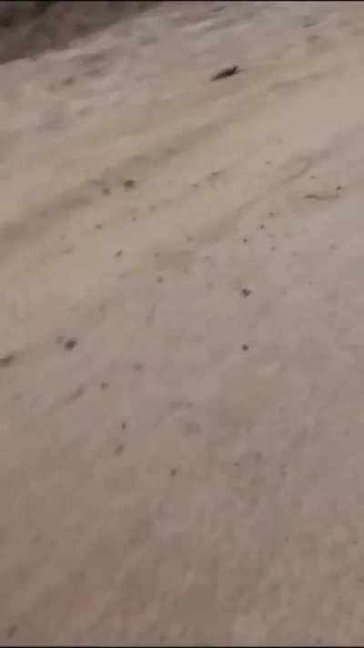 PAFF, a Kashmiri militant group released footage of an ambush on Indian military vehicles in Rajouri. (ENEMY VISIBLE)