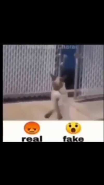 rule