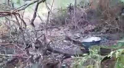 Crónicas del conflicto territorial Mapuche en Villa Mascardi.
