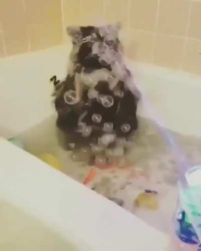 This is what raccoons do when they see bubbles :)