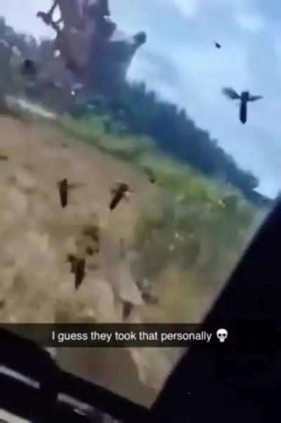 Not the beeeeees