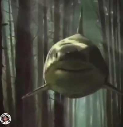 Eles est&atilde;o evoluindo 