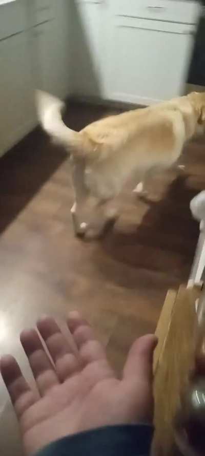 see pink ball, no toumch pink ball